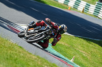 cadwell-no-limits-trackday;cadwell-park;cadwell-park-photographs;cadwell-trackday-photographs;enduro-digital-images;event-digital-images;eventdigitalimages;no-limits-trackdays;peter-wileman-photography;racing-digital-images;trackday-digital-images;trackday-photos